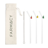 Fruitful Sips Glass Straw Set